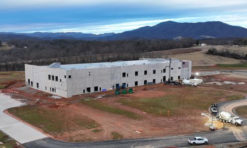 Traditional Medicinals